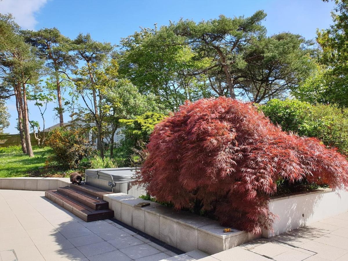 Tranquil & Unique Villa On The Uk'S Sunniest Place Ratton Exterior foto