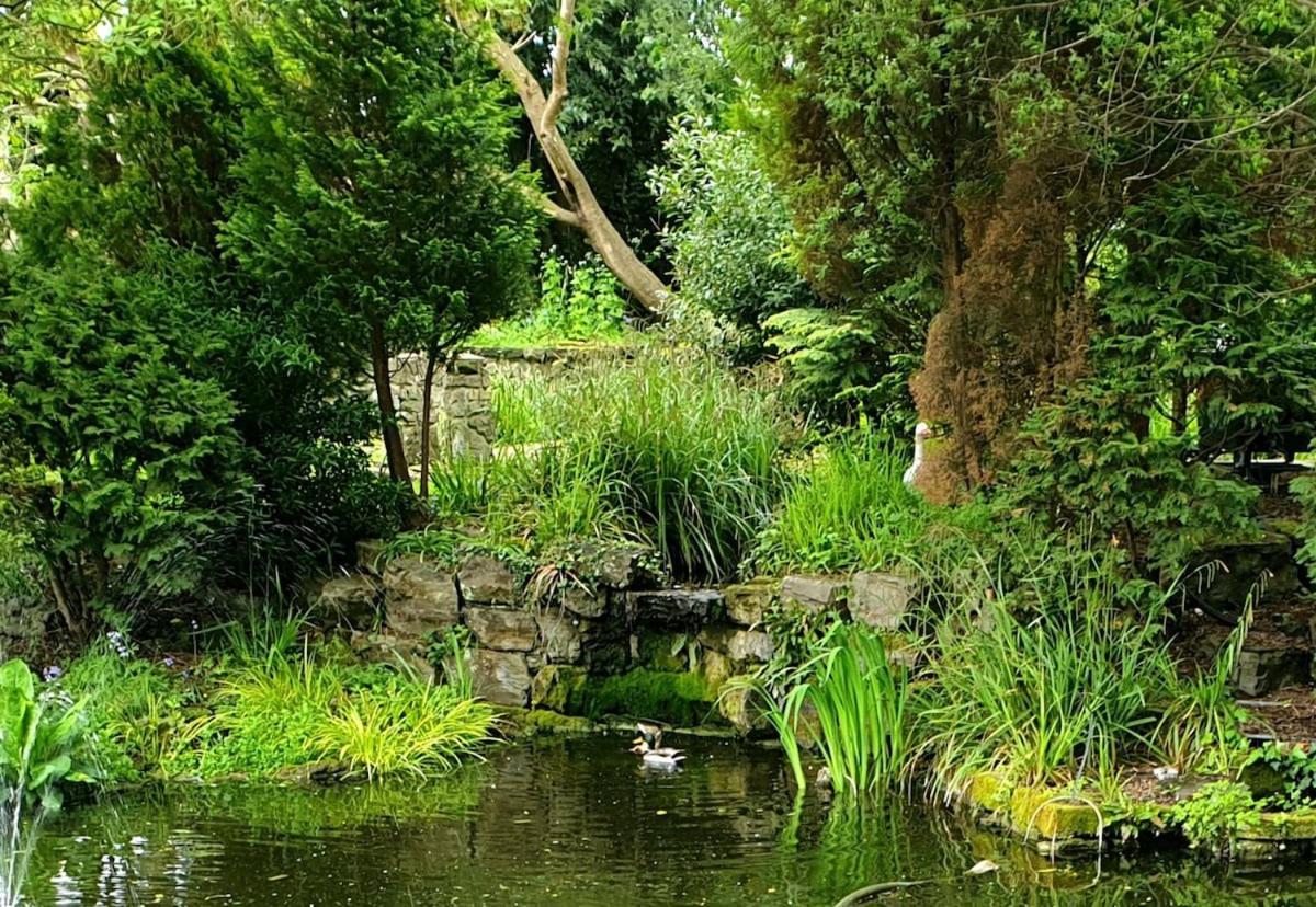 Tranquil & Unique Villa On The Uk'S Sunniest Place Ratton Exterior foto